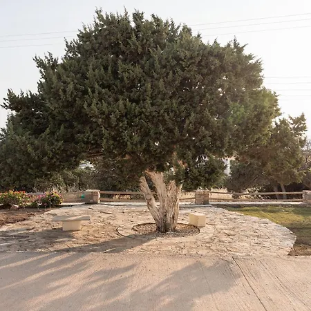 Aurea Blu 10 Dreaming, Beach, Tranquility, Sea Apartament Aliko Beach